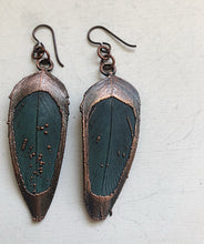 Load image into Gallery viewer, Electroformed Macaw Feather Earrings #2 - Ready to Ship (5/17 Update)
