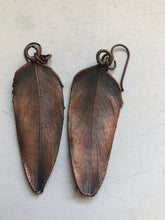 Load image into Gallery viewer, Electroformed Macaw Feather Earrings #2 - Ready to Ship (5/17 Update)
