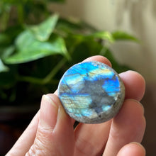 Load image into Gallery viewer, Labradorite Cauldron #9 - Made to Order
