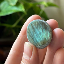 Load image into Gallery viewer, Labradorite Cauldron #10 - Made to Order
