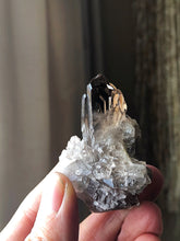 Load image into Gallery viewer, Smoky Quartz Cluster (1.27-6)
