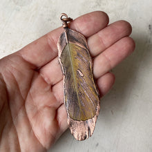 Load image into Gallery viewer, Electroformed Yellow Macaw Feather Necklace #4 - Ready to Ship
