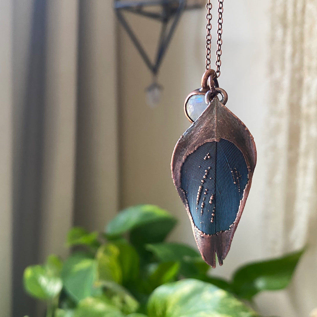 Small Macaw Feather & Rainbow Moonstone Necklace - Ready to Ship