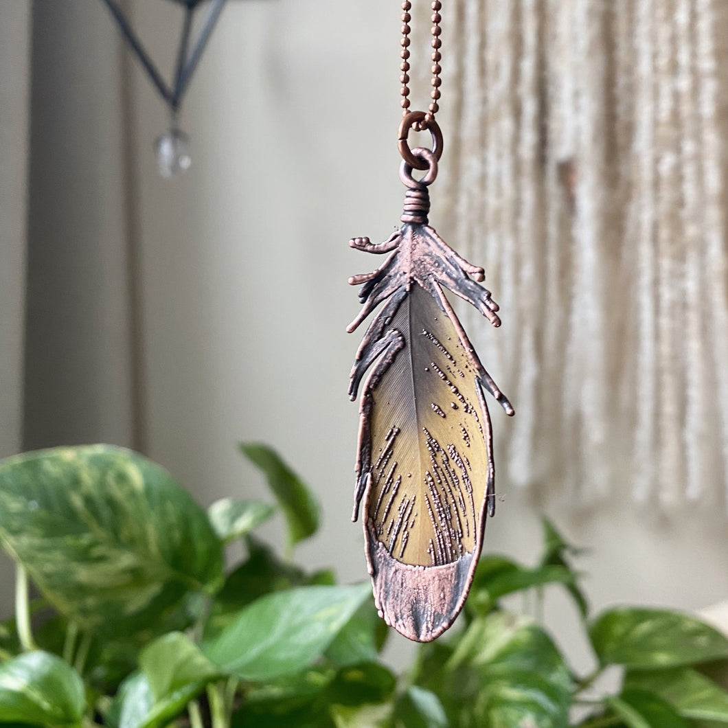 Electroformed Yellow Macaw Feather Necklace #2 - Ready to Ship
