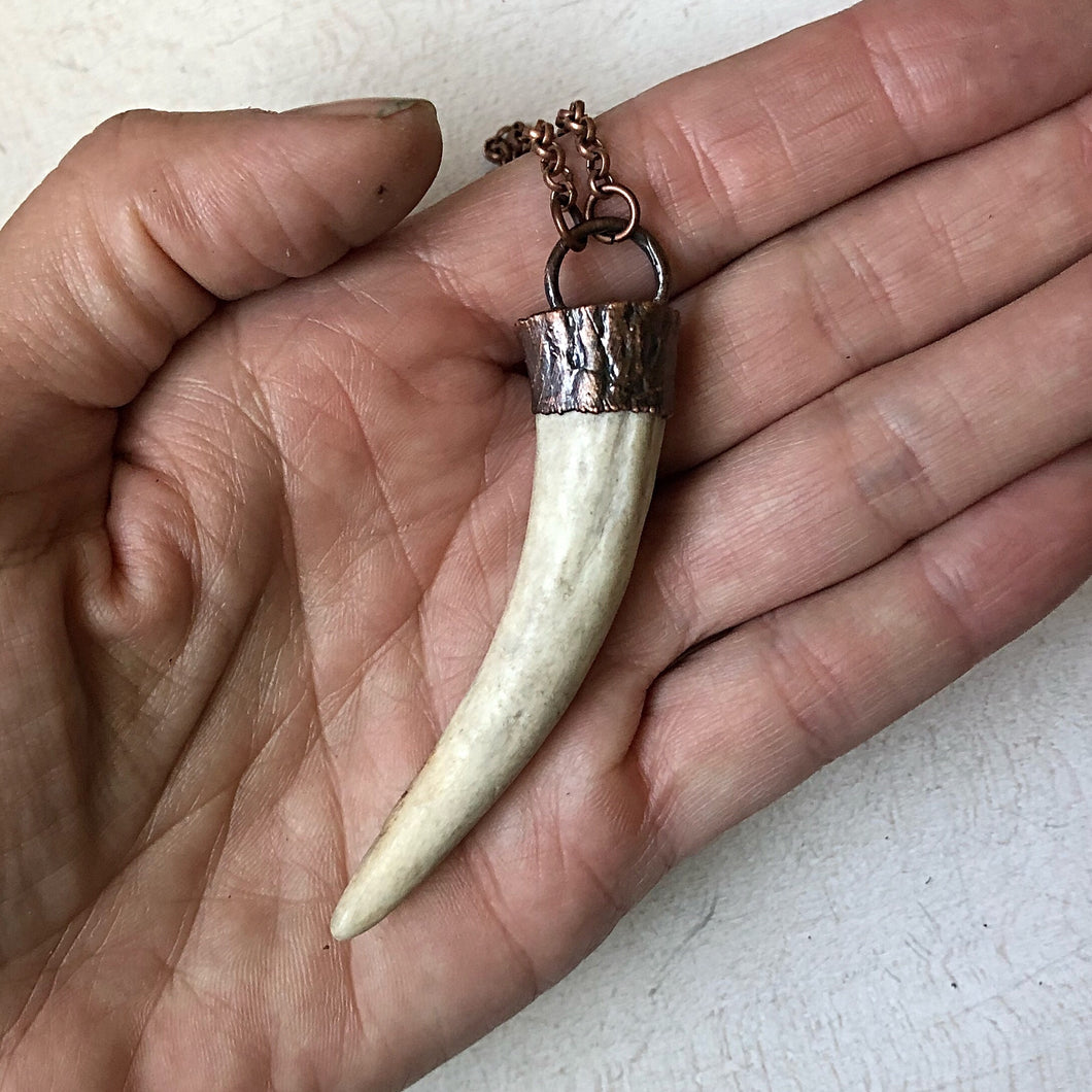 Naturally Shed Deer Antler Tip Necklace - Ready to Ship