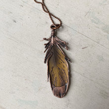 Load image into Gallery viewer, Electroformed Yellow Macaw Feather Necklace #2 - Ready to Ship
