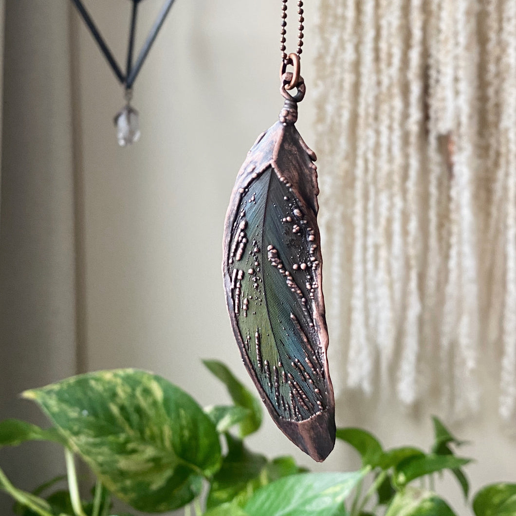 Electroformed Blue & Green Macaw Feather Necklace #3 - Ready to Ship