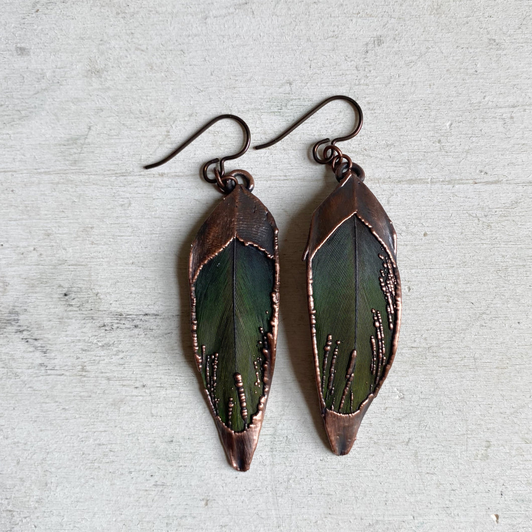 Electroformed Green Macaw Feather Earrings #1 - Ready to Ship