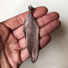 Load image into Gallery viewer, Electroformed Multi-Colored Macaw Feather Necklace - Ready to Ship

