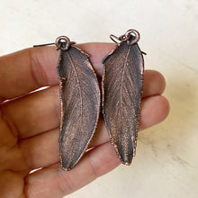 Load image into Gallery viewer, Electroformed Green Macaw Feather Earrings #2 - Ready to Ship
