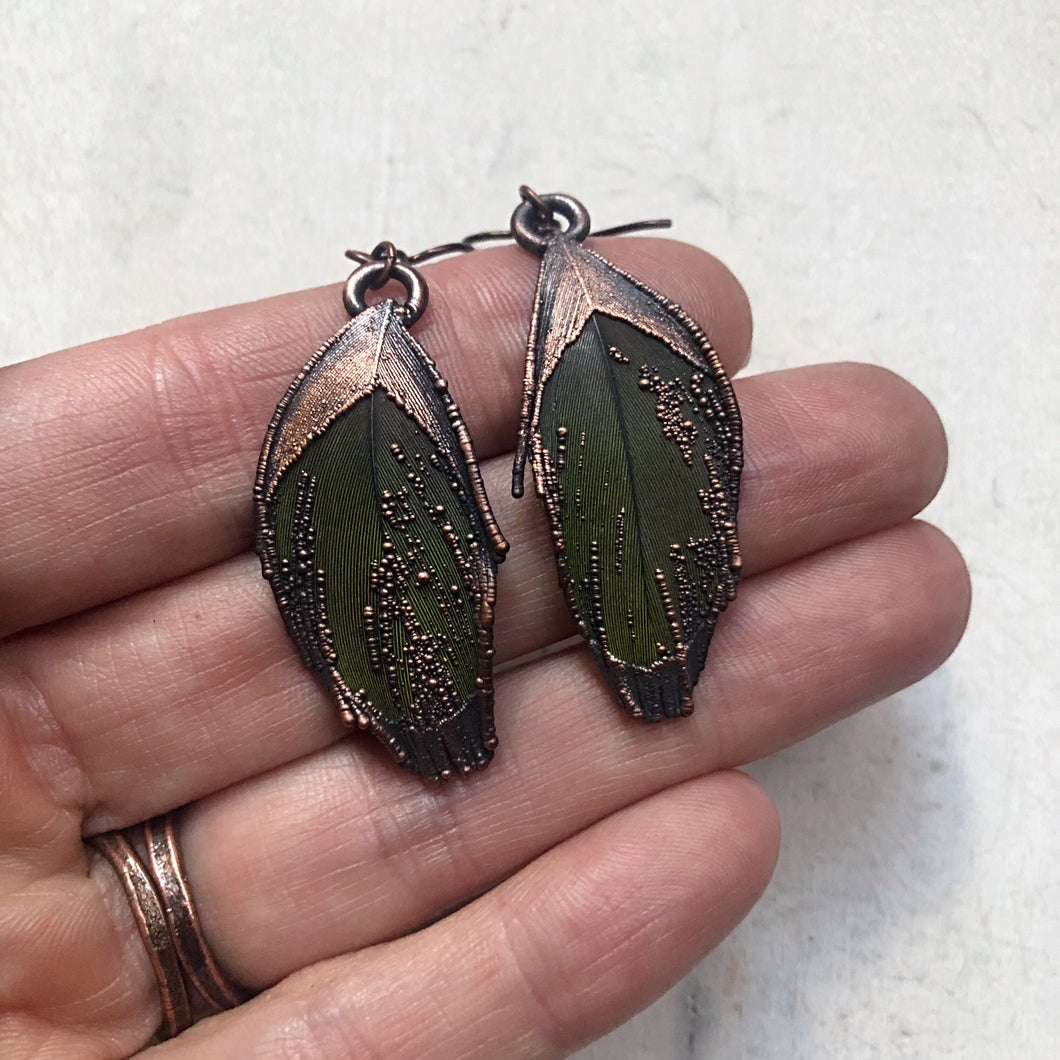 Electroformed Green Macaw Feather Earrings #3 - Ready to Ship