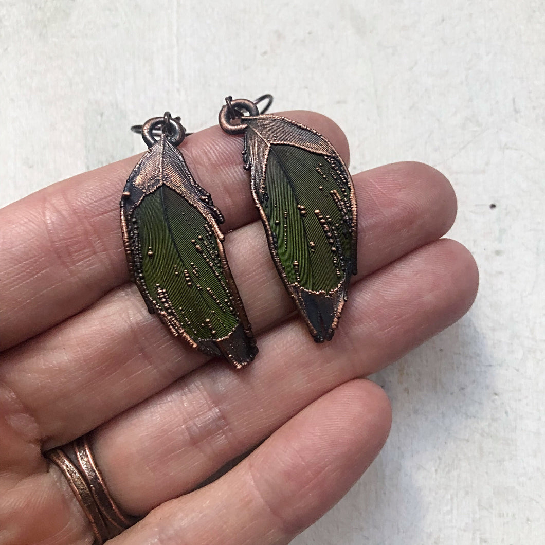 Electroformed Green Macaw Feather Earrings #4 - Ready to Ship
