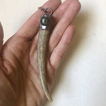Load image into Gallery viewer, Labradorite &amp; Naturally Shed Deer Antler Tip Necklace #1
